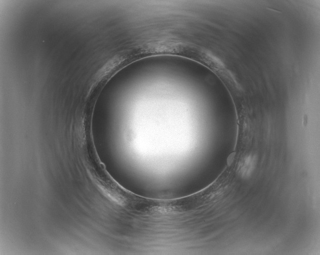 X0000062690250200512211444