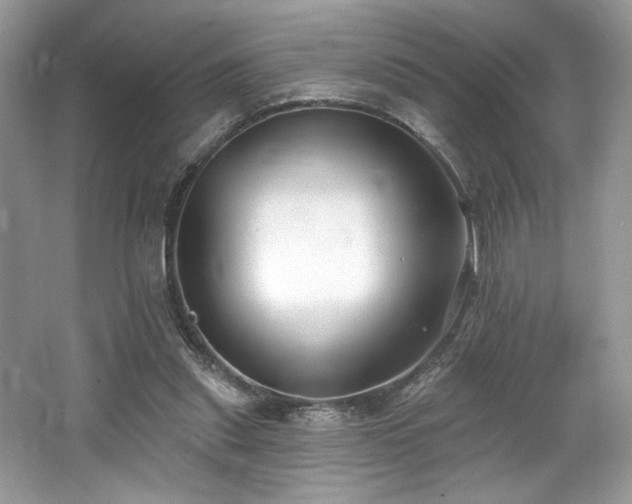 X0000062690253200512211444