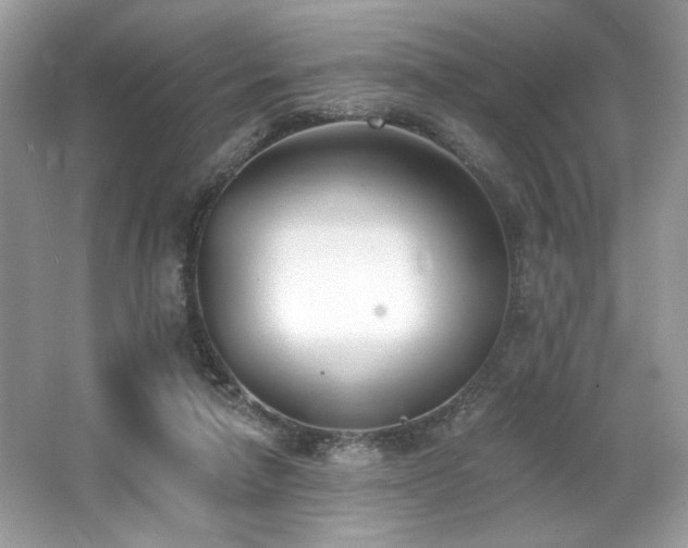 X0000062690258200512211444