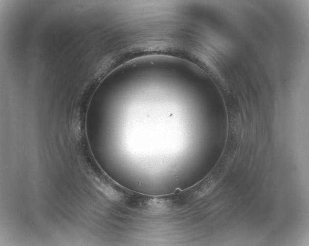 X0000062690261200512211444