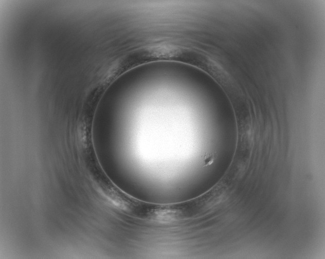 X0000062690268200512211444