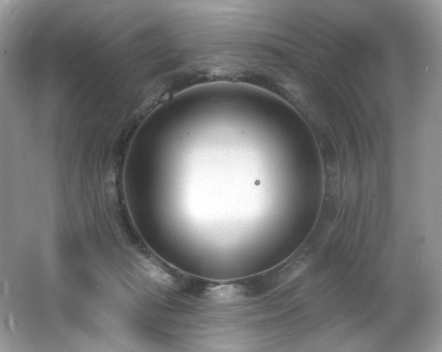 X0000062690269200512211444