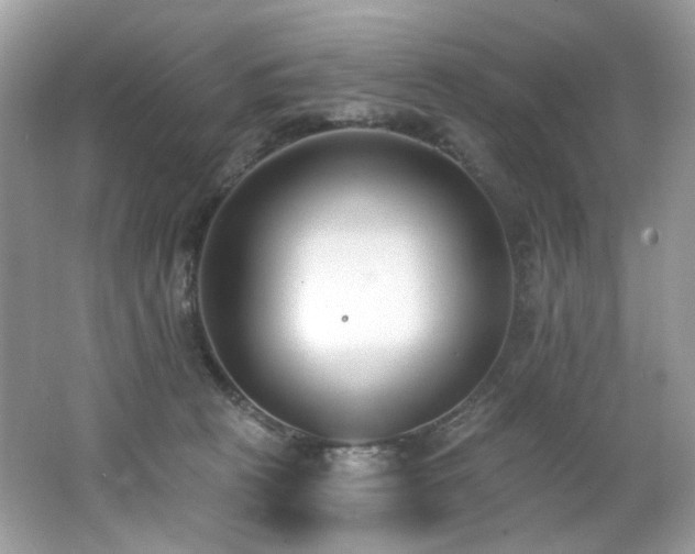 X0000062690273200512211444