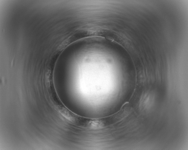 X0000062690275200512211444