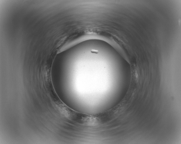 X0000062690276200512211444