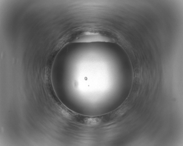 X0000062690277200512211444
