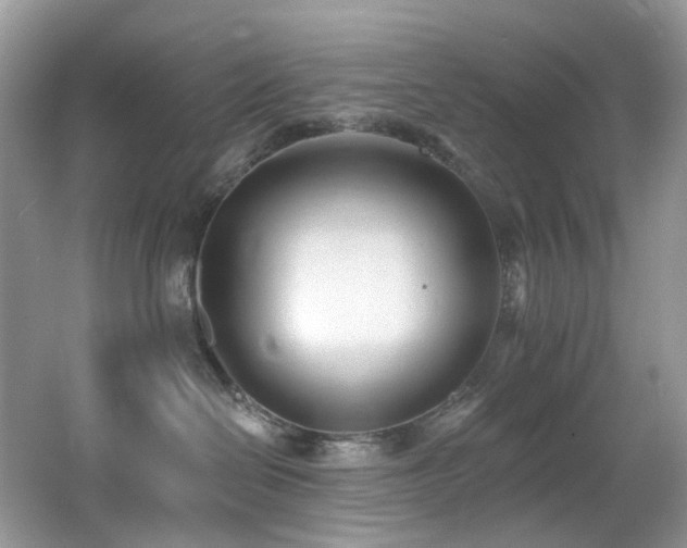 X0000062690286200512211444