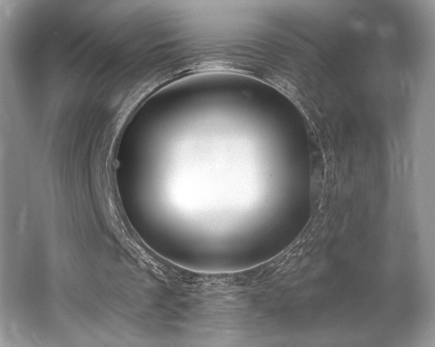 X0000062690289200512211443