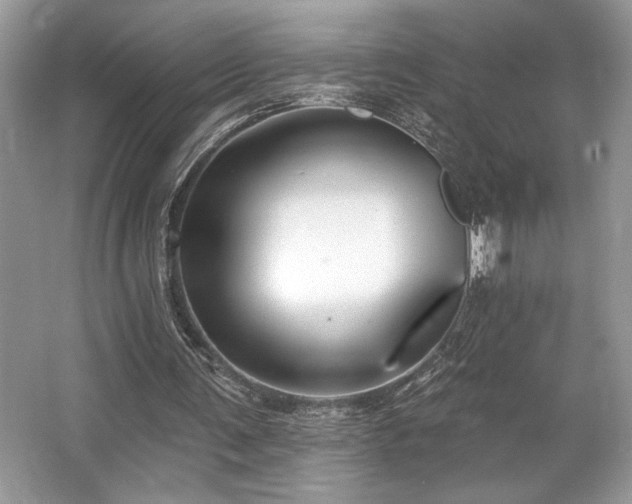 X0000062690291200512211443