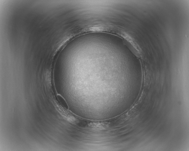 X0000062690297200512211443
