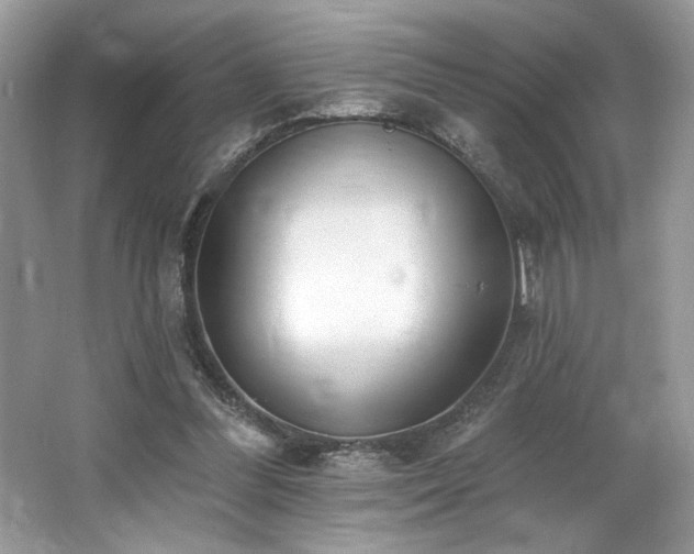 X0000062690300200512211443