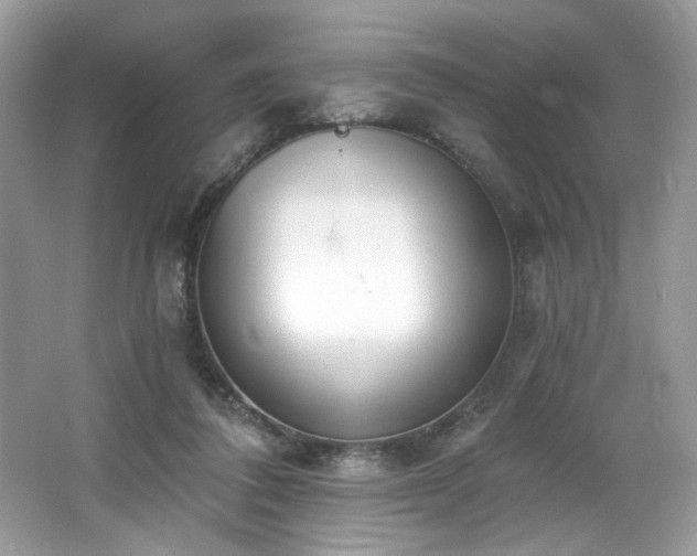 X0000062690308200512211443