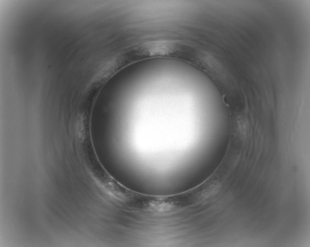 X0000062690311200512211443