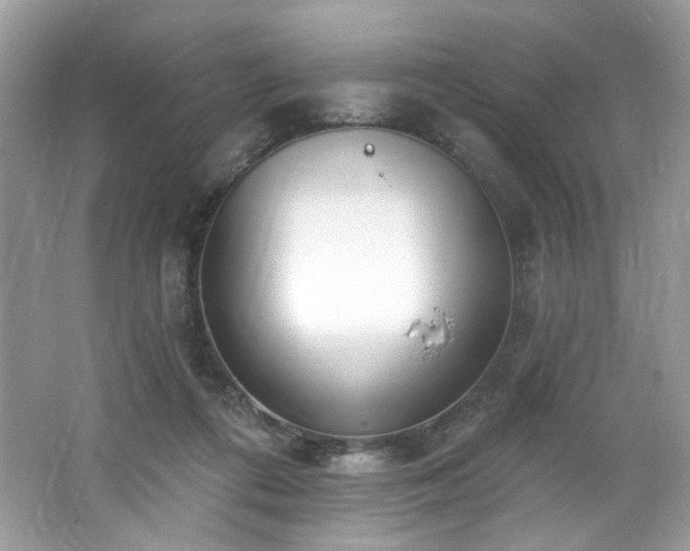 X0000062690312200512211443