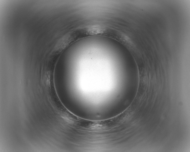 X0000062690315200512211443