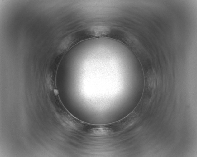 X0000062690316200512211443