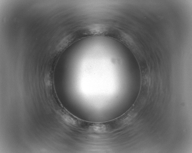 X0000062690317200512211443