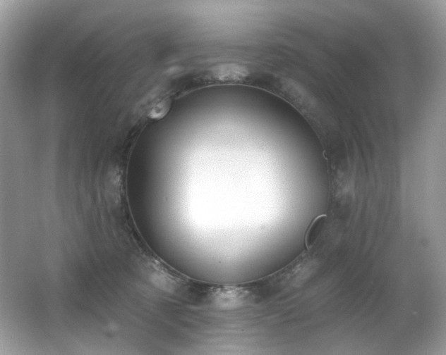 X0000062690321200512211443