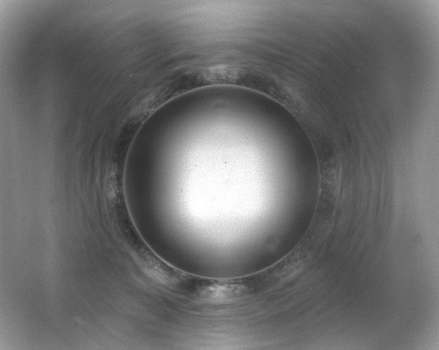 X0000062690323200512211443