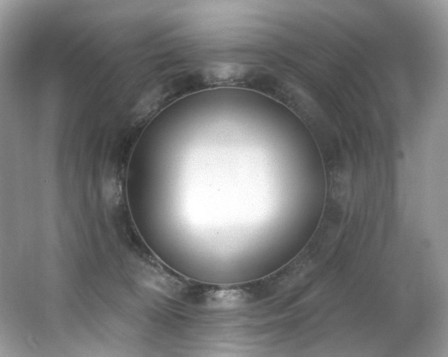 X0000062690324200512211443