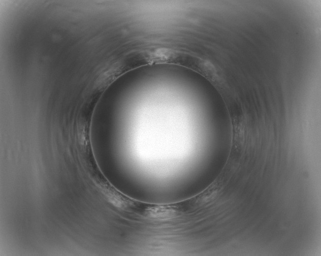 X0000062690331200512211443