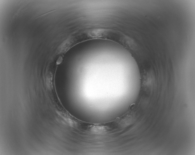 X0000062690332200512211443