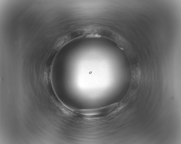 X0000062690333200512211443