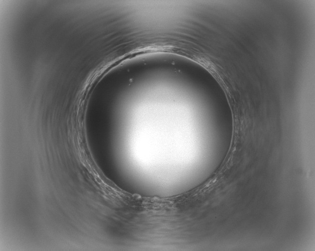 X0000062690337200512211442