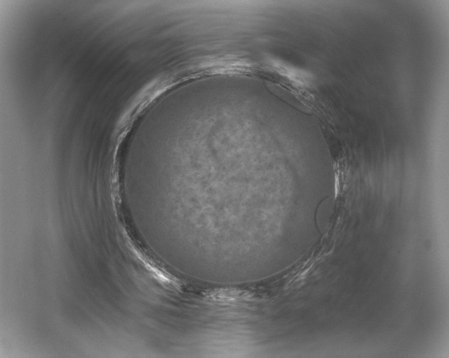 X0000062690339200512211442