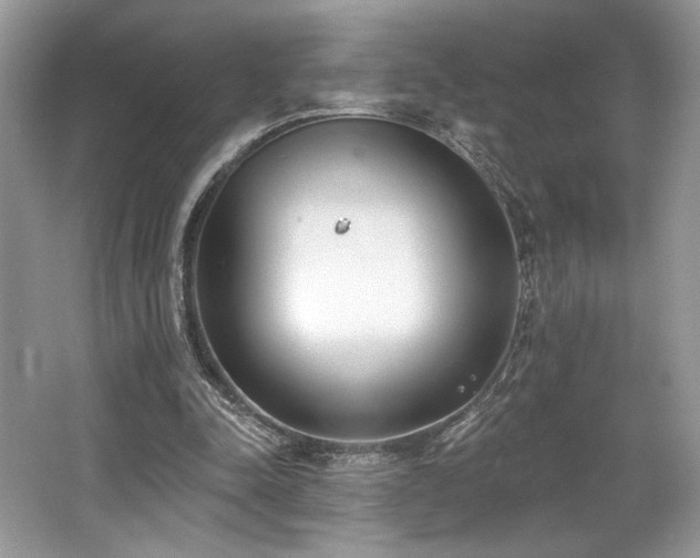 X0000062690342200512211442