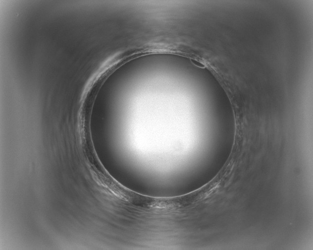X0000062690343200512211442