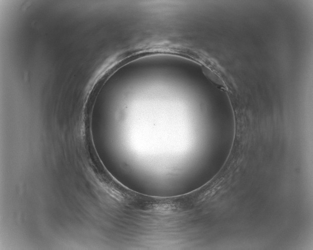 X0000062690344200512211442