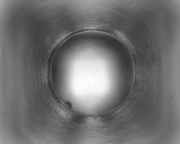 X0000062690346200512211442