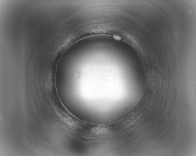 X0000062690354200512211442