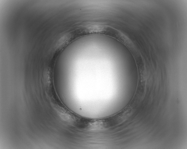 X0000062690362200512211442
