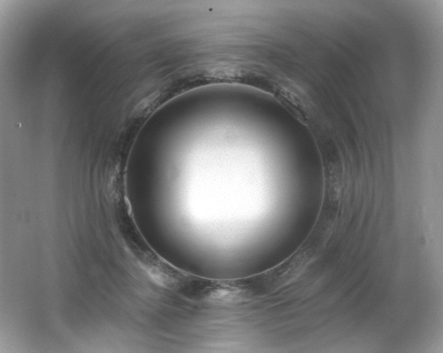 X0000062690364200512211442