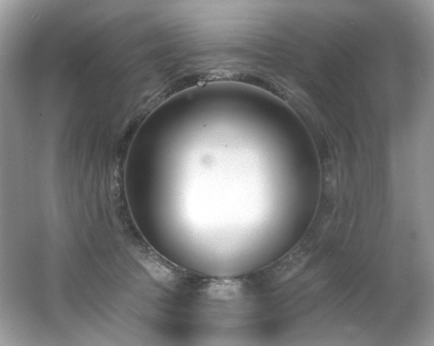 X0000062690369200512211442