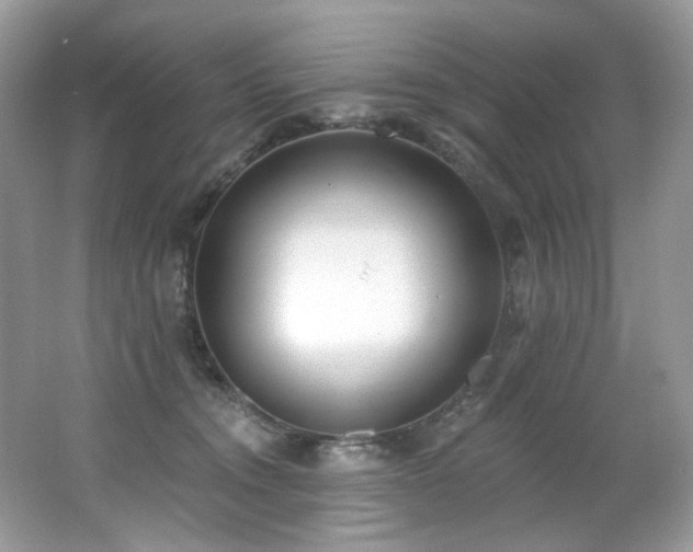 X0000062690372200512211442