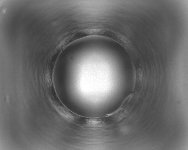 X0000062690380200512211442