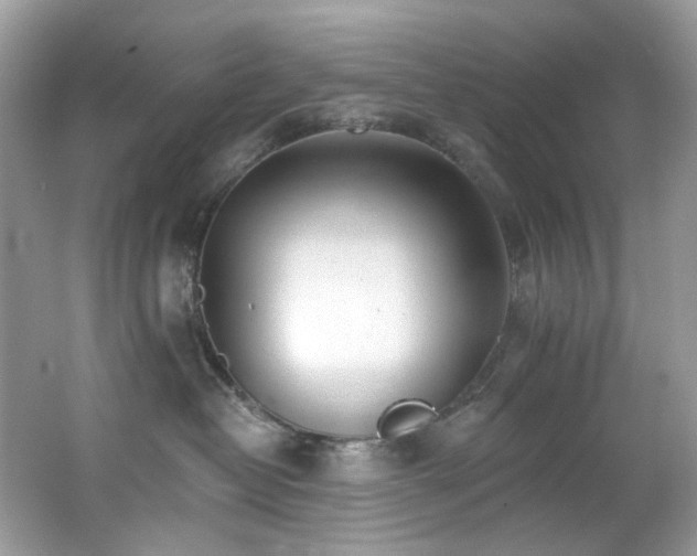 X0000062690382200512211443