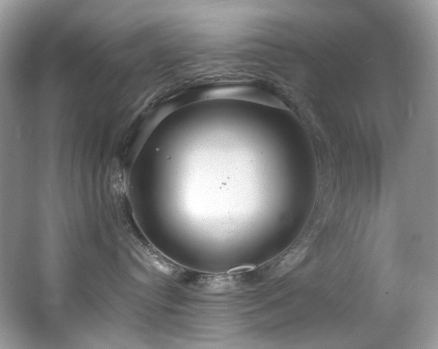 X0000062690384200512211443
