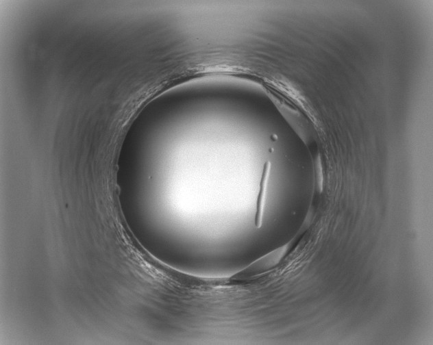 X0000062690385200512211442