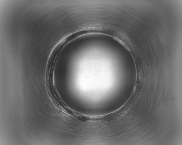 X0000062690388200512211442