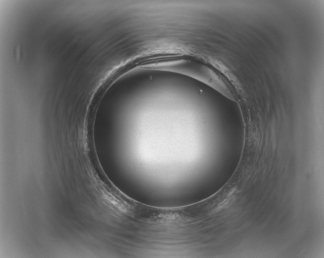 X0000062690391200512211442