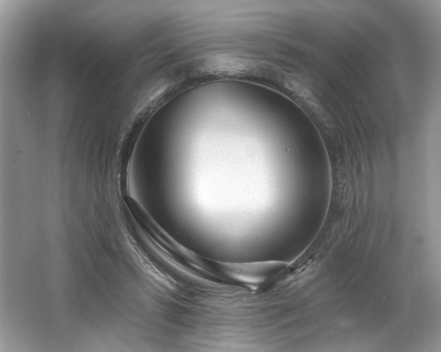 X0000062690399200512211441