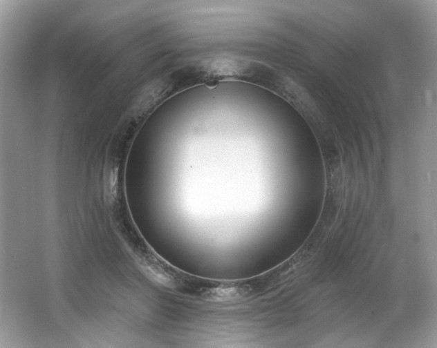X0000062690406200512211441