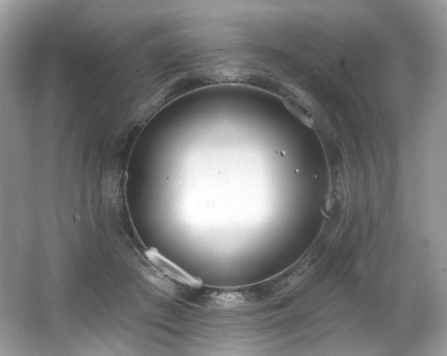 X0000062690409200512211441