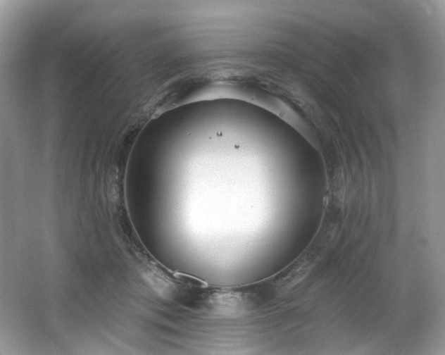 X0000062690413200512211441