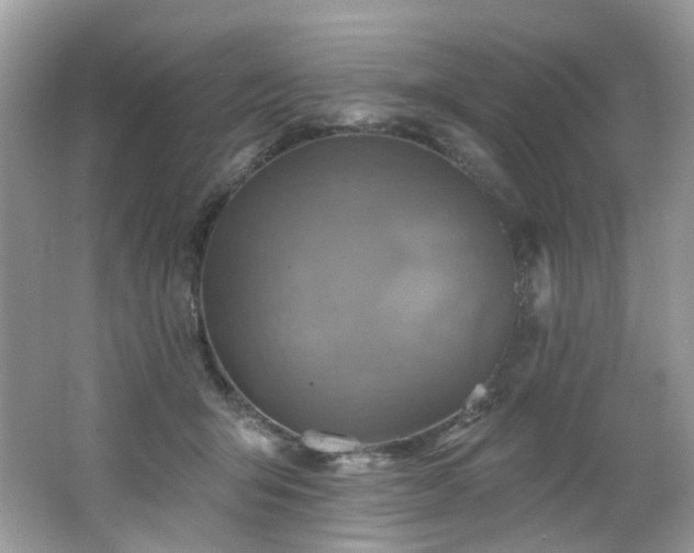 X0000062690415200512211441