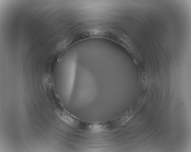 X0000062690419200512211441